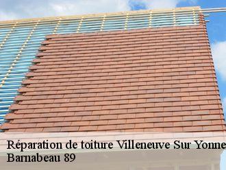 Réparation de toiture villeneuve-sur-yonne-89500 Barnabeau 89