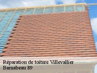 Réparation de toiture villevallier-89330 Barnabeau 89