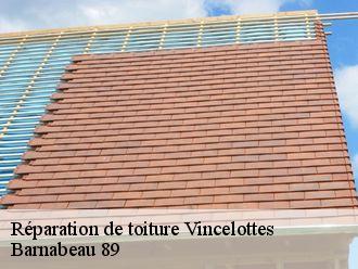 Réparation de toiture vincelottes-89290 Barnabeau 89