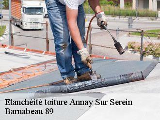 Etanchéité toiture  annay-sur-serein-89310 Barnabeau 89