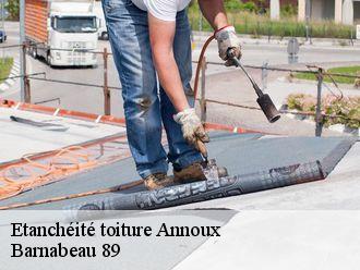 Etanchéité toiture  annoux-89440 Barnabeau 89