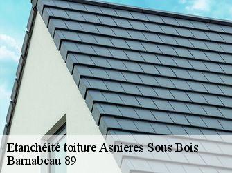Etanchéité toiture 89660