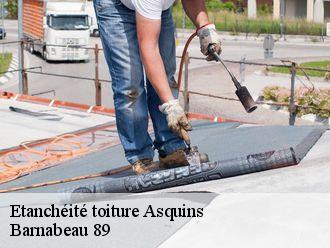 Etanchéité toiture  asquins-89450 Barnabeau 89