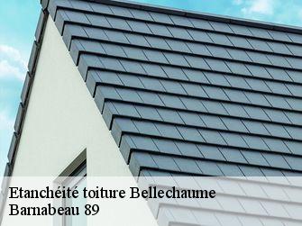 Etanchéité toiture 89210