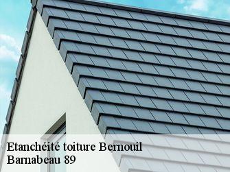 Etanchéité toiture 89360