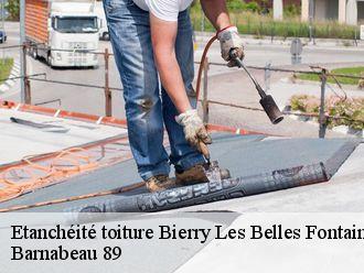 Etanchéité toiture  bierry-les-belles-fontaines-89420 Barnabeau 89