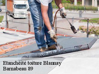 Etanchéité toiture  blannay-89200 Barnabeau 89