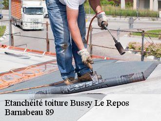 Etanchéité toiture  bussy-le-repos-89500 Barnabeau 89