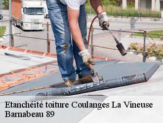 Etanchéité toiture coulanges-la-vineuse-89580 Barnabeau 89
