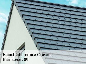 Etanchéité toiture 89460