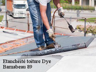 Etanchéité toiture  dye-89360 Barnabeau 89