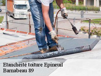 Etanchéité toiture  epineuil-89700 Barnabeau 89