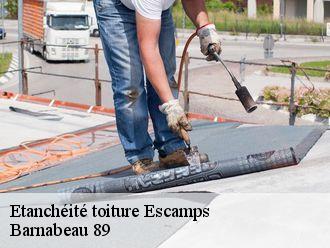 Etanchéité toiture escamps-89240 Barnabeau 89