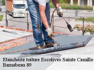 Etanchéité toiture  escolives-sainte-camille-89290 Barnabeau 89