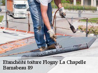 Etanchéité toiture  flogny-la-chapelle-89360 Barnabeau 89