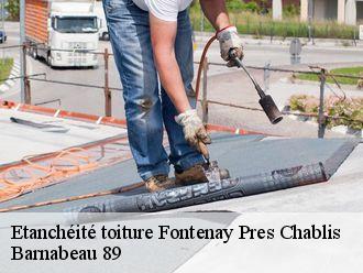 Etanchéité toiture  fontenay-pres-chablis-89800 Barnabeau 89