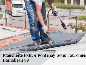 Etanchéité toiture  fontenay-sous-fouronnes-89660 Barnabeau 89