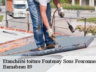 Etanchéité toiture fontenay-sous-fouronnes-89660 Barnabeau 89