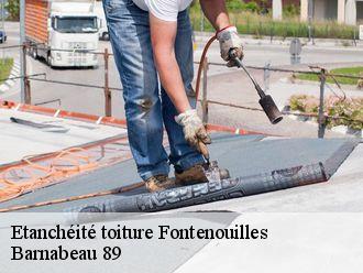 Etanchéité toiture fontenouilles-89120 Barnabeau 89