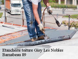 Etanchéité toiture  gisy-les-nobles-89140 Barnabeau 89