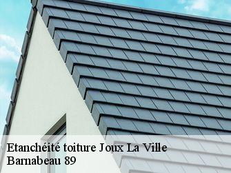 Etanchéité toiture 89440