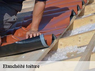 Etanchéité toiture 89150