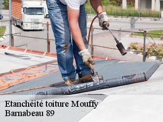 Etanchéité toiture mouffy-89560 Barnabeau 89
