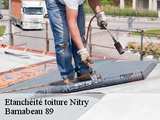 Etanchéité toiture  nitry-89310 Barnabeau 89