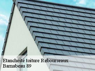 Etanchéité toiture 89600