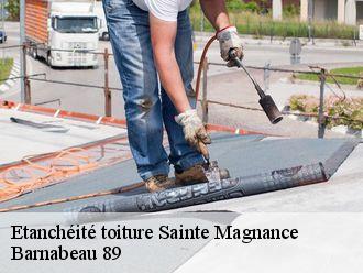 Etanchéité toiture  sainte-magnance-89420 Barnabeau 89