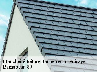 Etanchéité toiture 89350