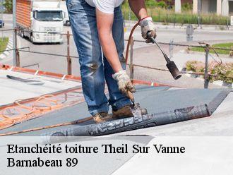 Etanchéité toiture  theil-sur-vanne-89760 Barnabeau 89