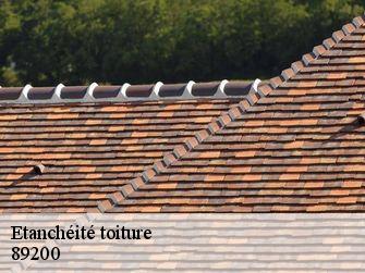 Etanchéité toiture 89200