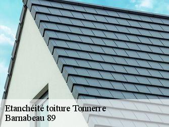 Etanchéité toiture 89700