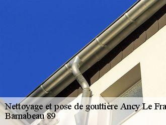 Nettoyage et pose de gouttière  ancy-le-franc-89160 Barnabeau 89