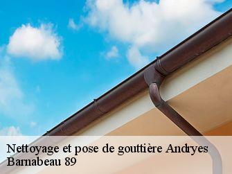 Nettoyage et pose de gouttière  89480