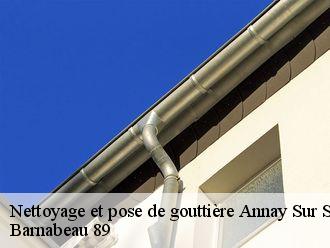 Nettoyage et pose de gouttière  annay-sur-serein-89310 Barnabeau 89