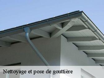 Nettoyage et pose de gouttière  89270