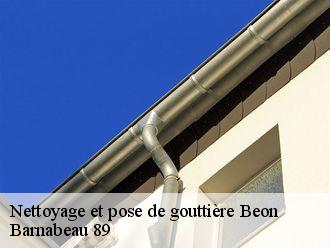 Nettoyage et pose de gouttière beon-89410 Barnabeau 89