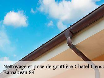Nettoyage et pose de gouttière 89660