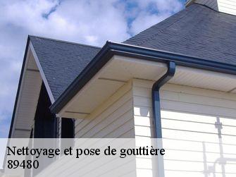 Nettoyage et pose de gouttière