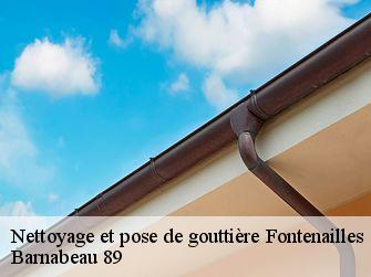 Nettoyage et pose de gouttière  89560