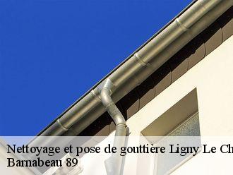 Nettoyage et pose de gouttière  ligny-le-chatel-89144 Barnabeau 89