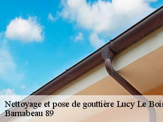 Nettoyage et pose de gouttière 89200