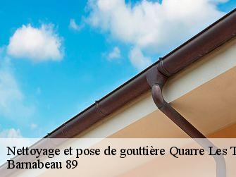 Nettoyage et pose de gouttière 89630
