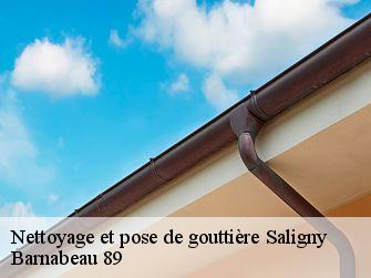 Nettoyage et pose de gouttière 89100