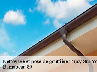 Nettoyage et pose de gouttière  89460