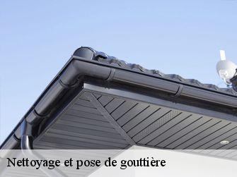 Nettoyage et pose de gouttière