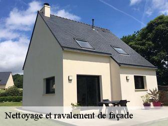 Nettoyage et ravalement de façade 89190
