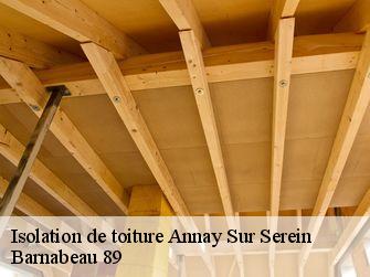 Isolation de toiture 89310